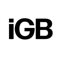 iGamingBusiness logo