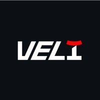 VELI GROUP logo