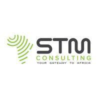 Stm Consulting logo