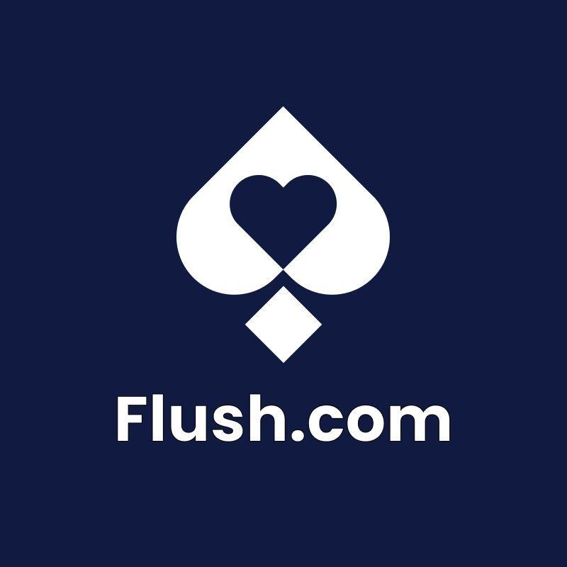 Flush Partners logo