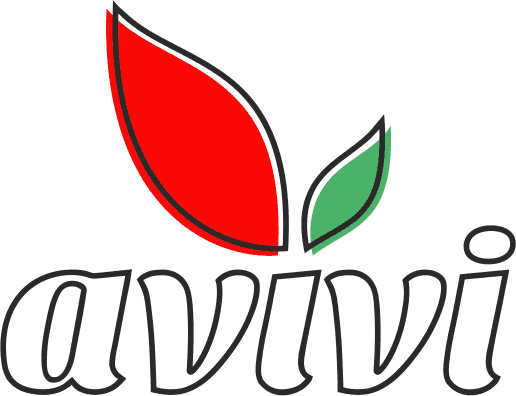 AVIVI logo
