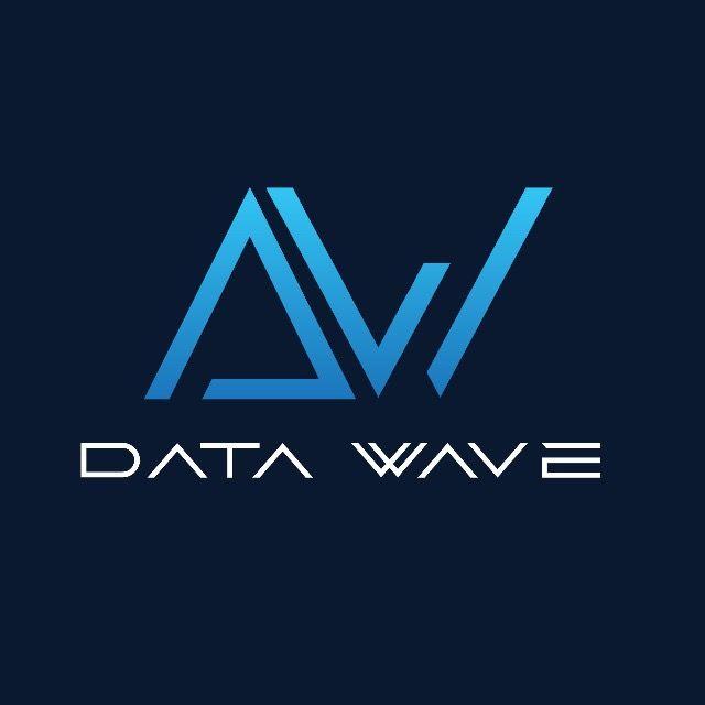 DataWave logo